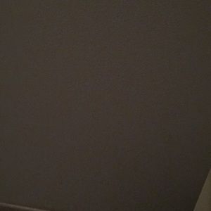 Meet your Posher, Donovan